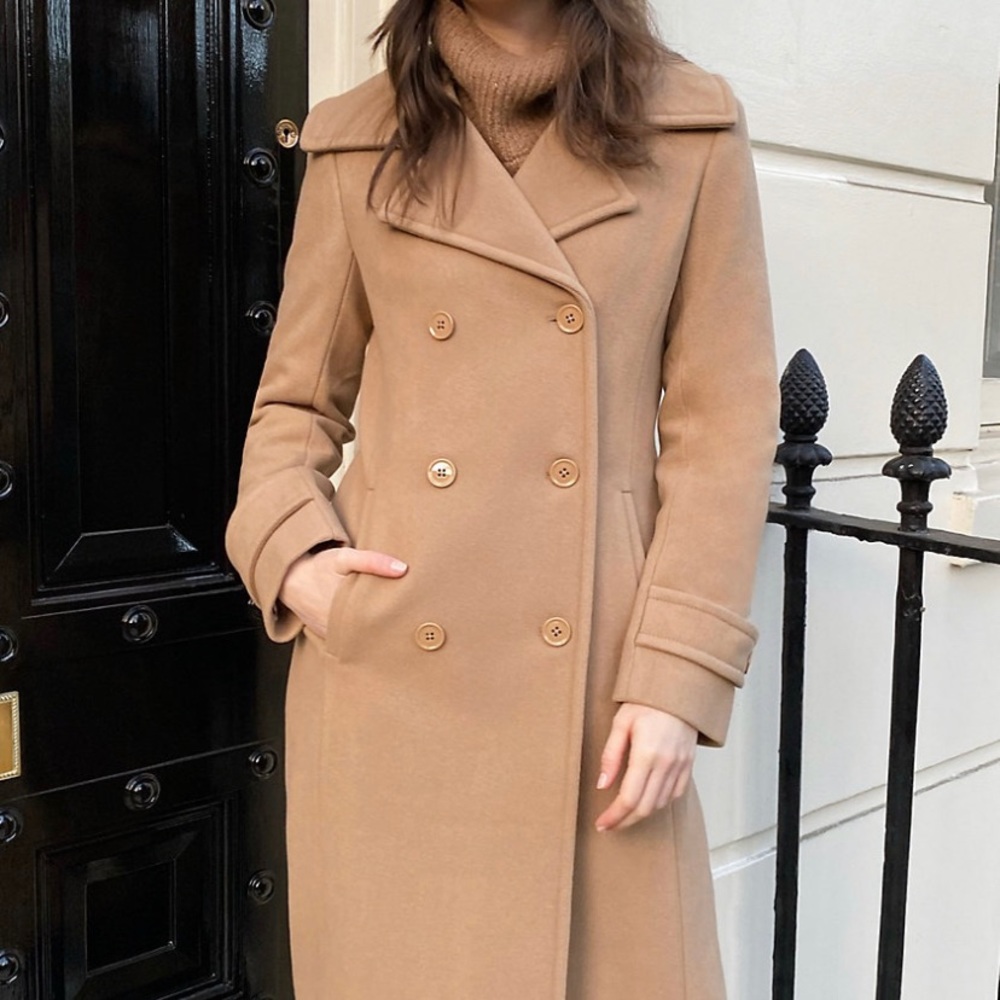 Stunning Aritzia Coat!